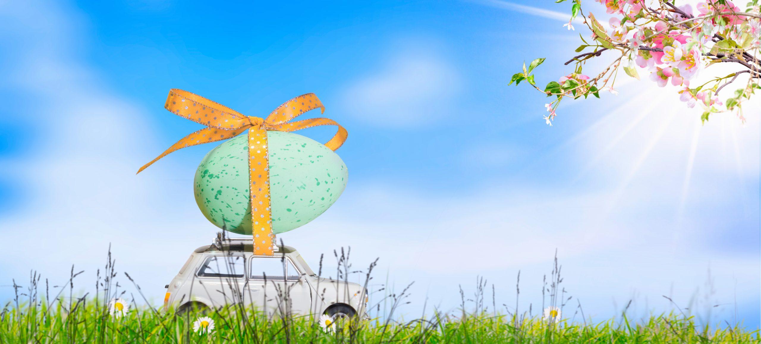 Tanti auguri di Serena Pasqua da Rentall! La nostra sorpresa…la scoprirai la prossima settimana!