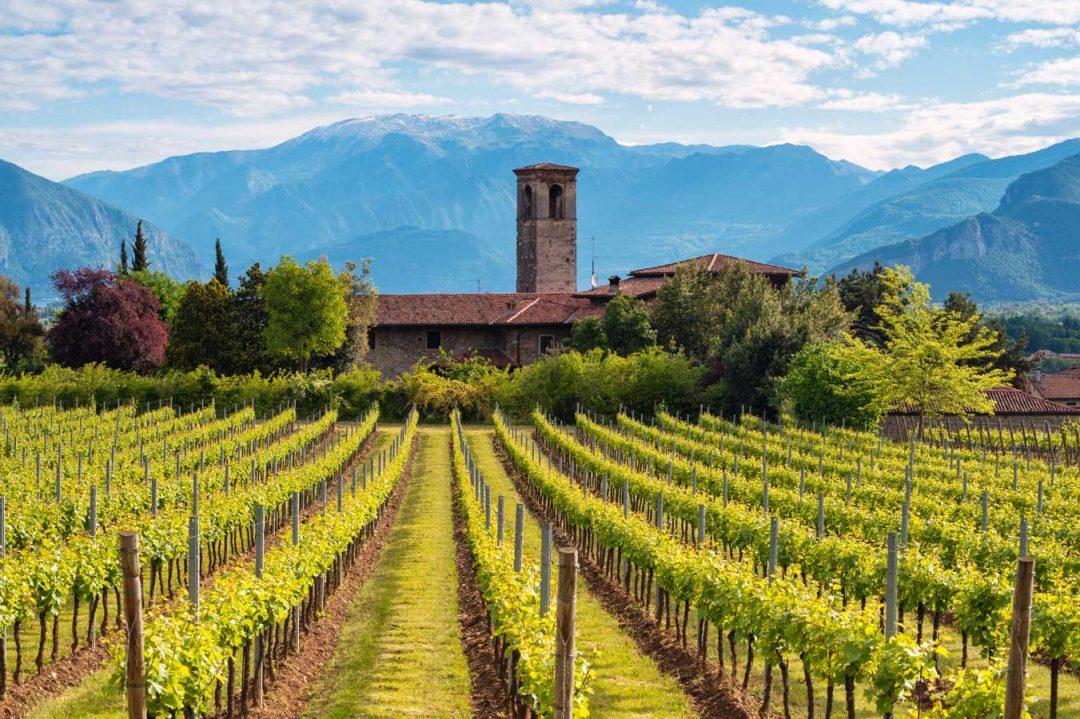 Vacanze ormai dimenticate Il Festival Franciacorta in Cantina renderà frizzante il rientro!